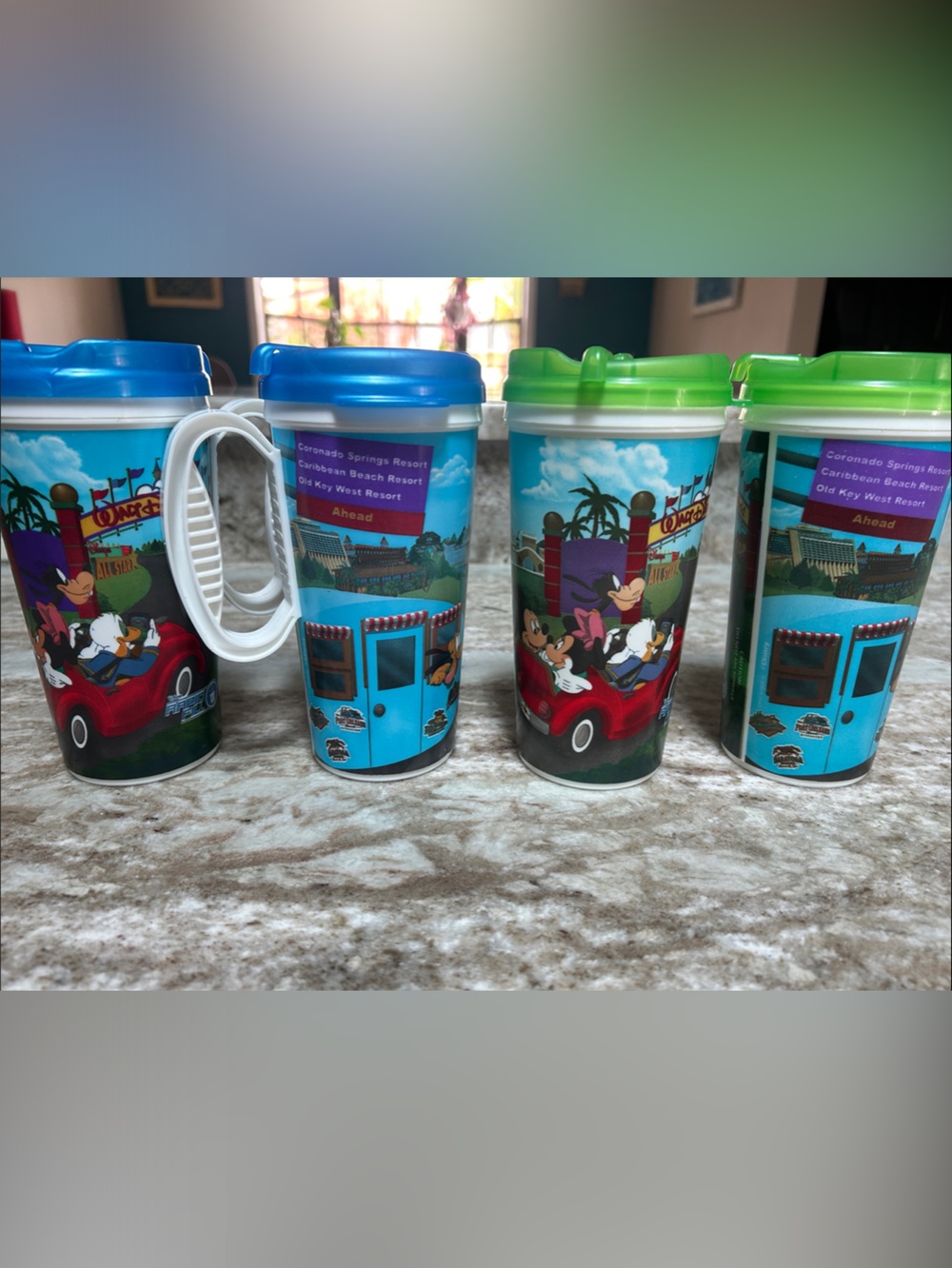 Disney Park Tumblers Set